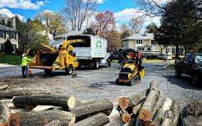 Trusted Sterling, AK Tree Care Experts